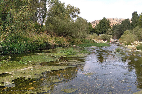تنگ تیزاب استان فارس