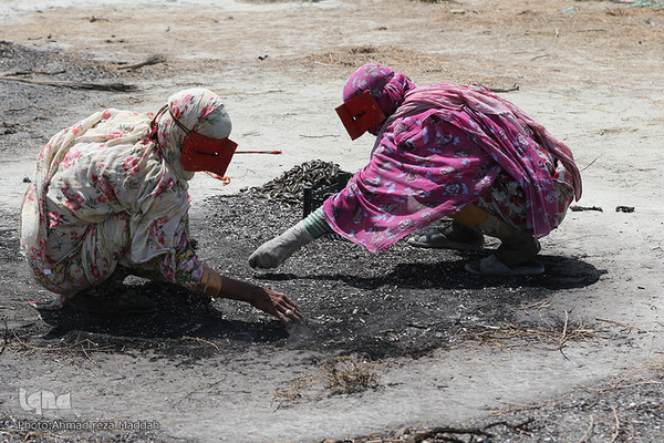 آغاز بهره‌برداری از طرح «نذر آب ۴» هلال‌احمر استان فارس در دهستان بیابان شهرستان سیریک هرمزگان