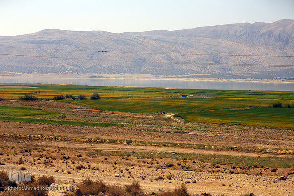 بحران خشکسالی در درودزن‎