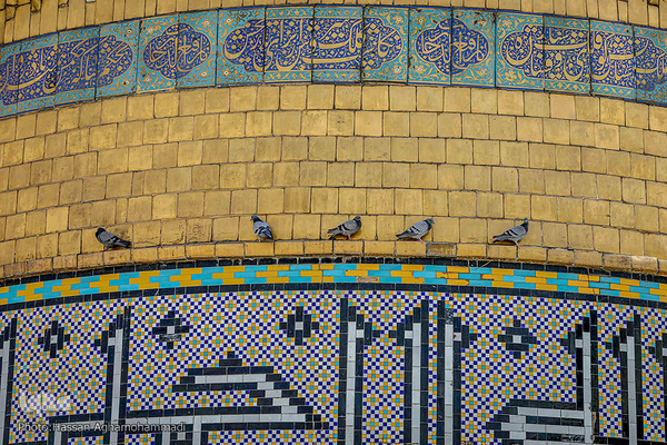 پیاده روی جاماندگان اربعین حسینی(ع)