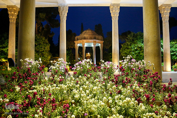 سر ارادت ما به خواجه اهل راز