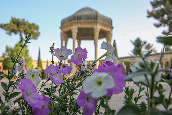 سر ارادت ما به خواجه اهل راز