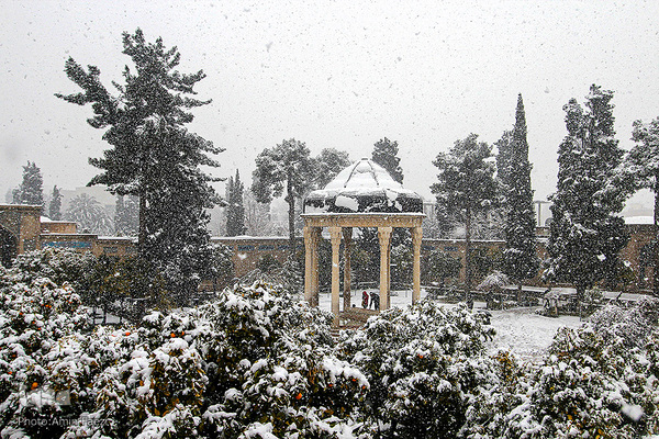 سر ارادت ما به خواجه اهل راز