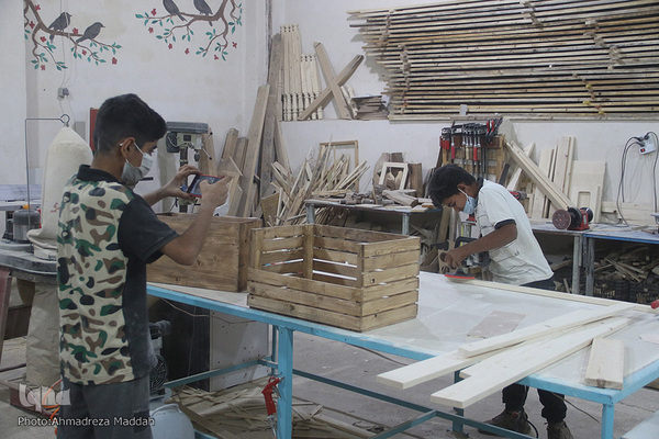 طرح بچه های «بلوط» شیراز