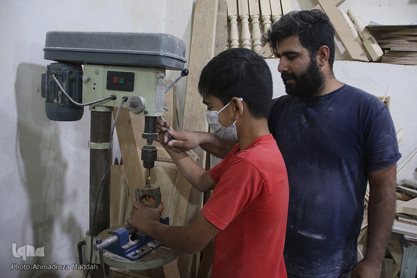 طرح بچه های «بلوط» شیراز