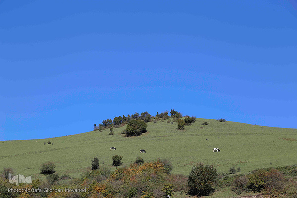 طبیعت زیبای گردنه «حیران» در آستارا