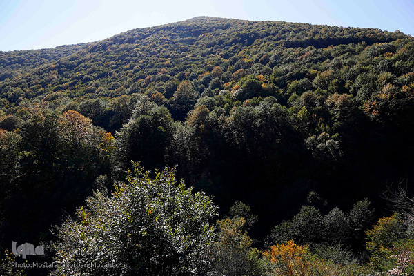 طبیعت زیبای گردنه «حیران» در آستارا