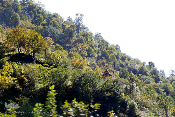 طبیعت زیبای گردنه «حیران» در آستارا