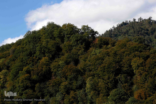 طبیعت زیبای گردنه «حیران» در آستارا