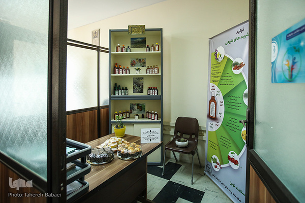 بازدید زهرا شمس احسان عضو شورای شهر تهران مرکز رشد