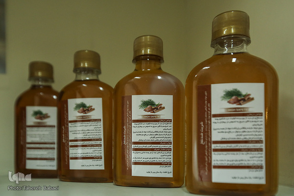 بازدید زهرا شمس احسان عضو شورای شهر تهران مرکز رشد