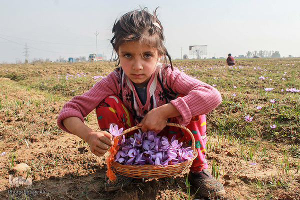کشمیر؛ سرزمین زیبایی‌های طبیعی و مردمان باایمان