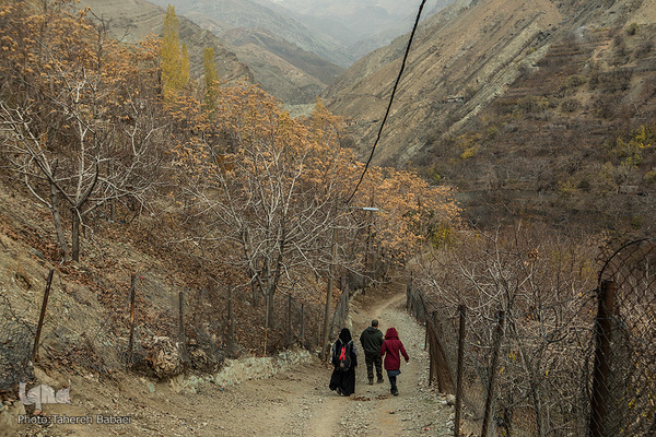 طبیعت پاییزی در درکه