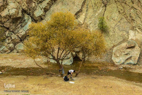 طبیعت پاییزی در درکه