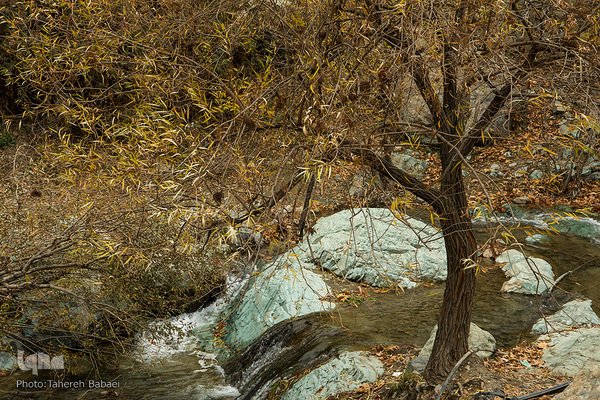 طبیعت پاییزی در درکه