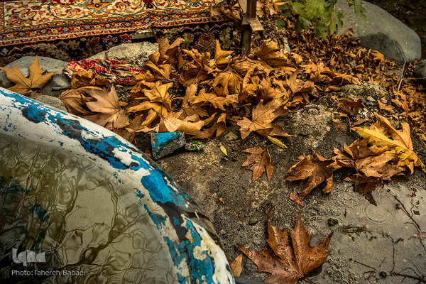 طبیعت پاییزی در درکه