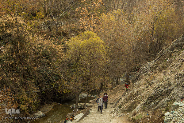 طبیعت پاییزی در درکه