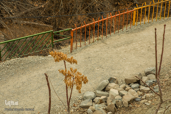 طبیعت پاییزی در درکه