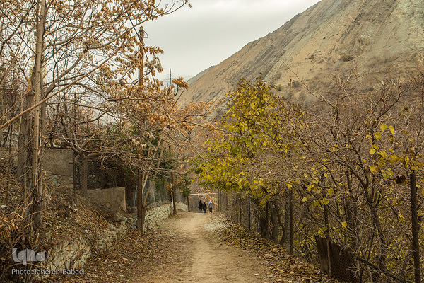 طبیعت پاییزی در درکه