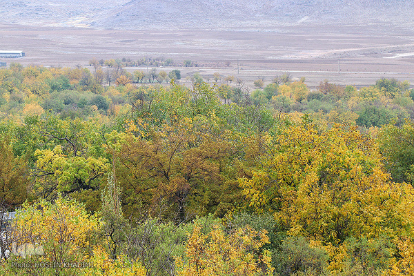 پاییز هزار رنگ در روستای «انجدان» اراک