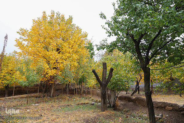 پاییز هزار رنگ در روستای «انجدان» اراک