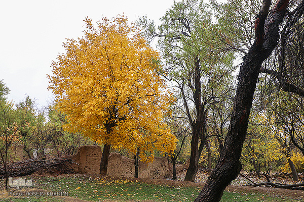 پاییز هزار رنگ در روستای «انجدان» اراک