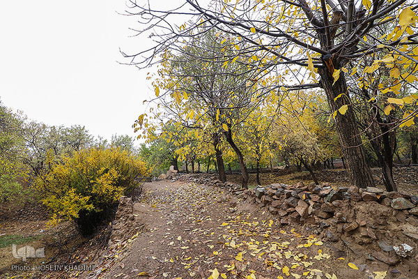 پاییز هزار رنگ در روستای «انجدان» اراک