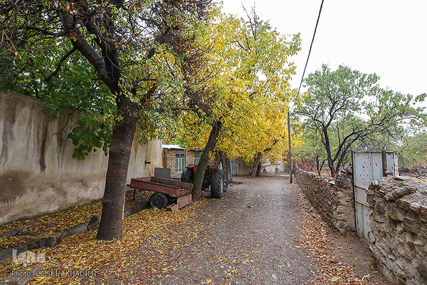 پاییز هزار رنگ در روستای «انجدان» اراک