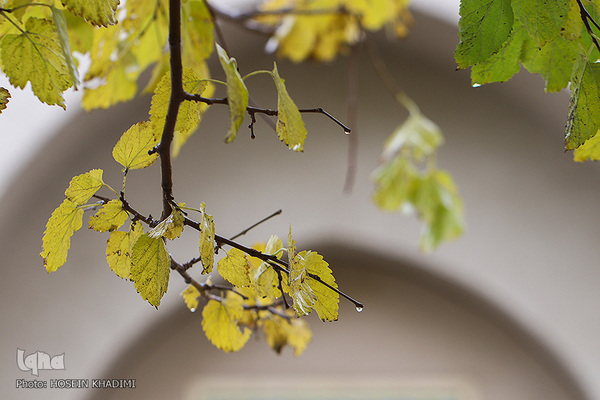 پاییز هزار رنگ در روستای «انجدان» اراک
