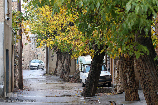 پاییز هزار رنگ در روستای «انجدان» اراک