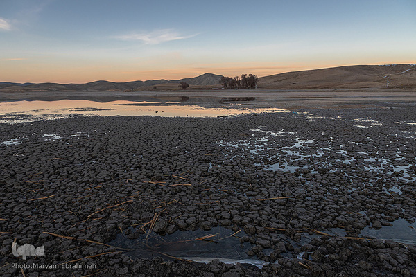 خشکی تالاب بین‌المللی «قوری‌گل» در آذربایجان شرقی
