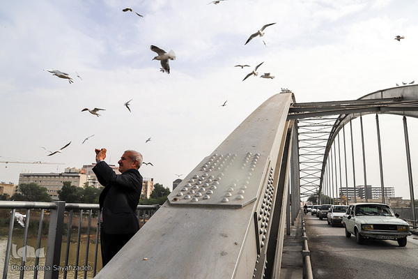 پرندگان مهاجر، مهمان اهوازی‌ها