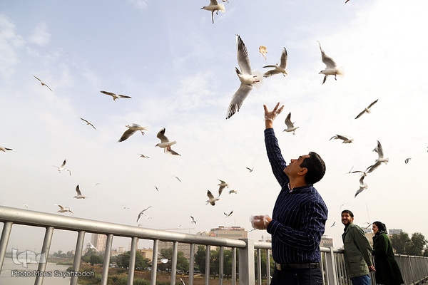 پرندگان مهاجر، مهمان اهوازی‌ها