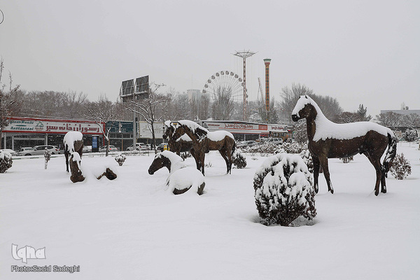 بارش اولین برف زمستانی در تبریز