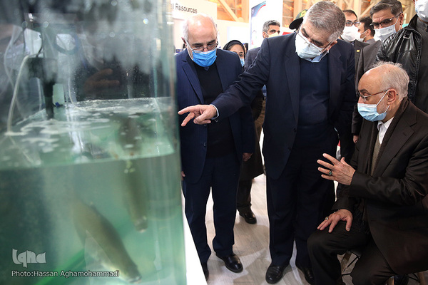 بازدید علی اکبر صالحی، قائم مقام فرهنگستان زبان و ادبیات فارسی از نمایشگاه توانمندی‌ها و دستاوردهای جهاددانشگاهی