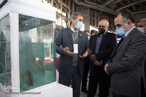 مهمانان نمایشگاه توانمندی‌ها و دستاوردهای جهاددانشگاهی