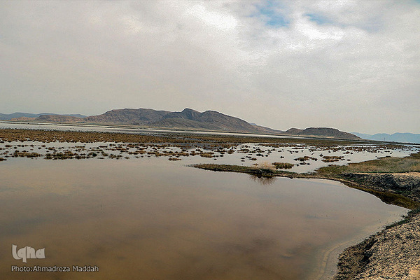 تالاب بین‌المللی کمجان فارس