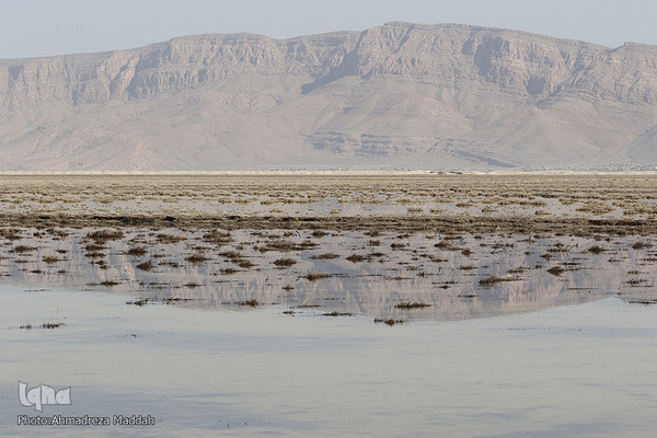 تالاب بین‌المللی کمجان فارس