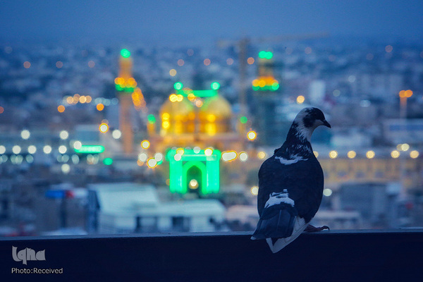 کاظمین
