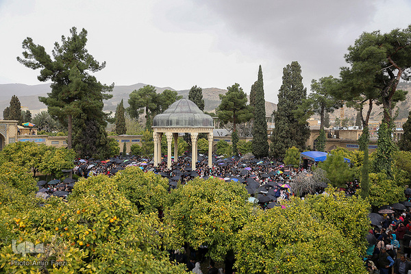 سر ارادت ما به خواجه اهل راز