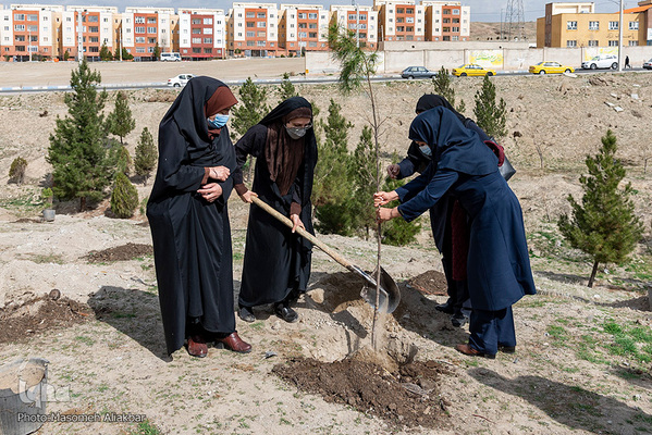 پویش هر شهروند یک درخت در البرز