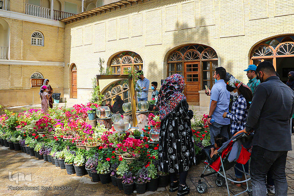 مسافران نوروزی در باغ ارم شیراز