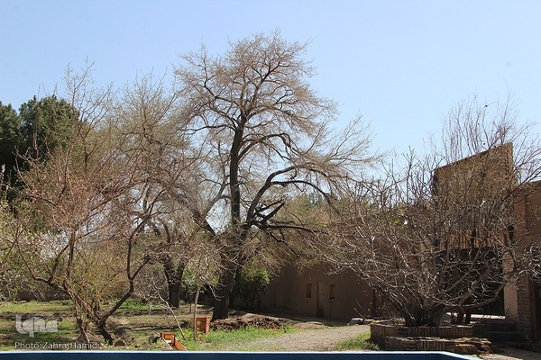 باغ رحیم‌آباد بیرجند