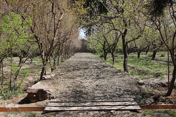باغ رحیم‌آباد بیرجند