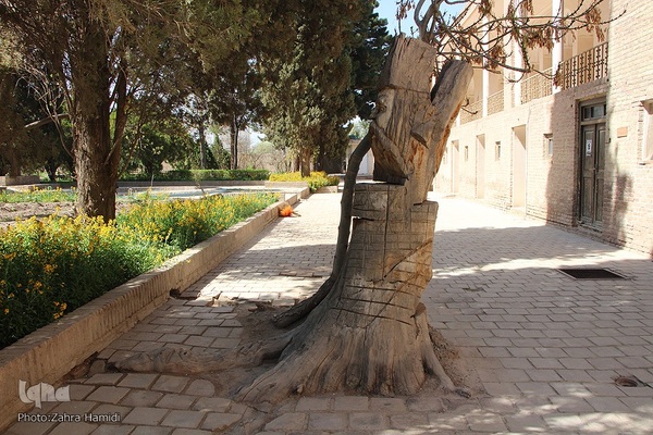 باغ رحیم‌آباد بیرجند