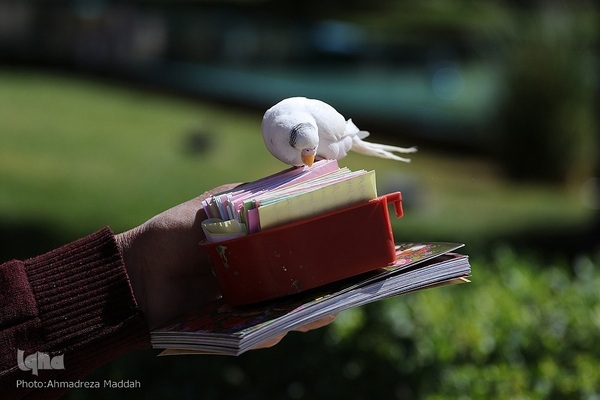 بازدید مسافران نوروزی از آرامگاه حافظ‎‎