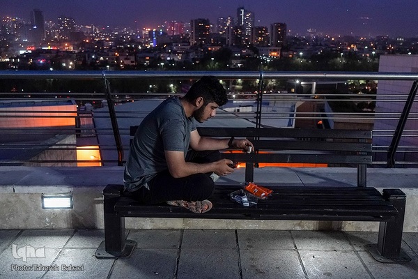 میهمانی رضوی