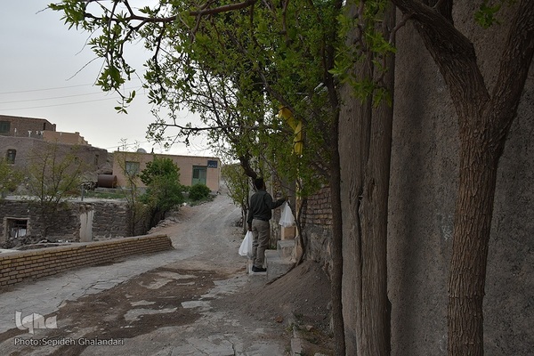 سنت حسنه؛ اطعام نیازمندان در خراسان جنوبی