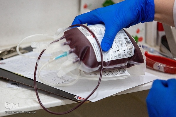 سنت حسنه ایرانی؛ نذر خون در شب‌های قدر - قزوین