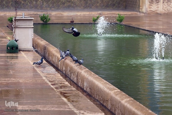 باران بهاری در مسجد تاریخی وکیل شیراز‎‎